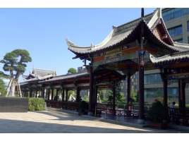 楊俊平項目展示（國際生態(tài)會(huì )議中心）